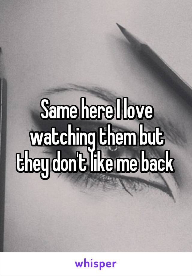 Same here I love watching them but they don't like me back 