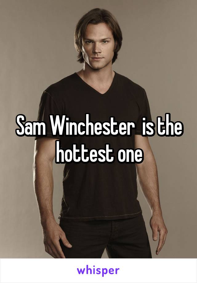 Sam Winchester  is the hottest one