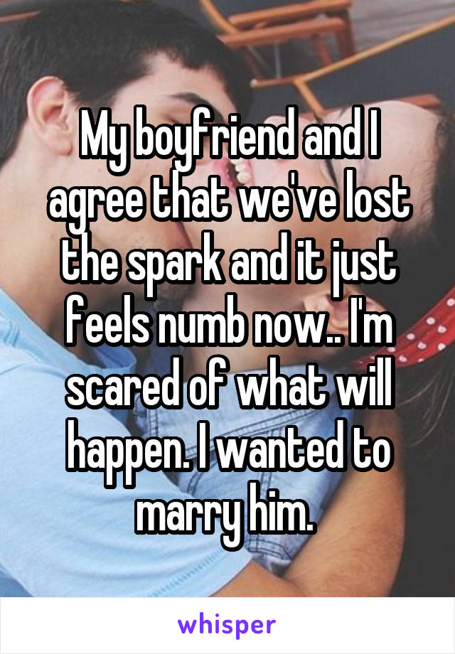My boyfriend and I agree that we've lost the spark and it just feels numb now.. I'm scared of what will happen. I wanted to marry him. 