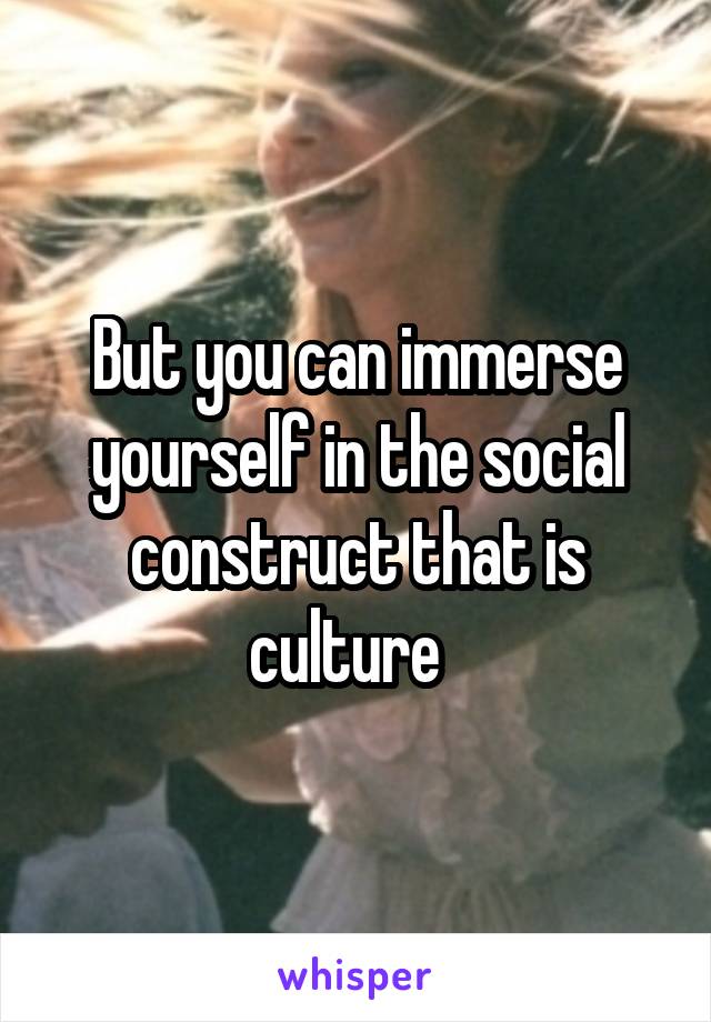 But you can immerse yourself in the social construct that is culture  