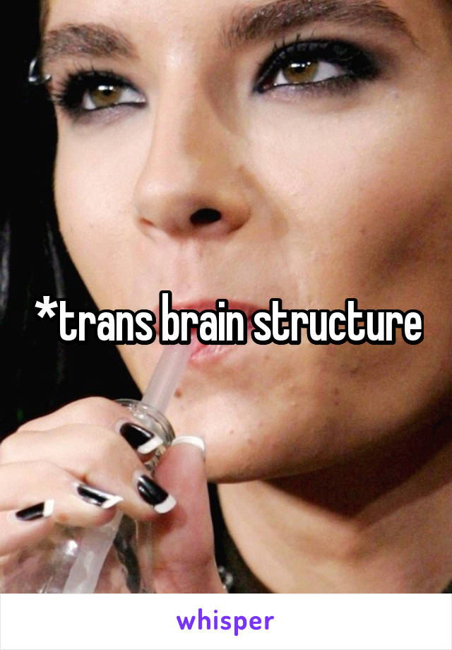 *trans brain structure