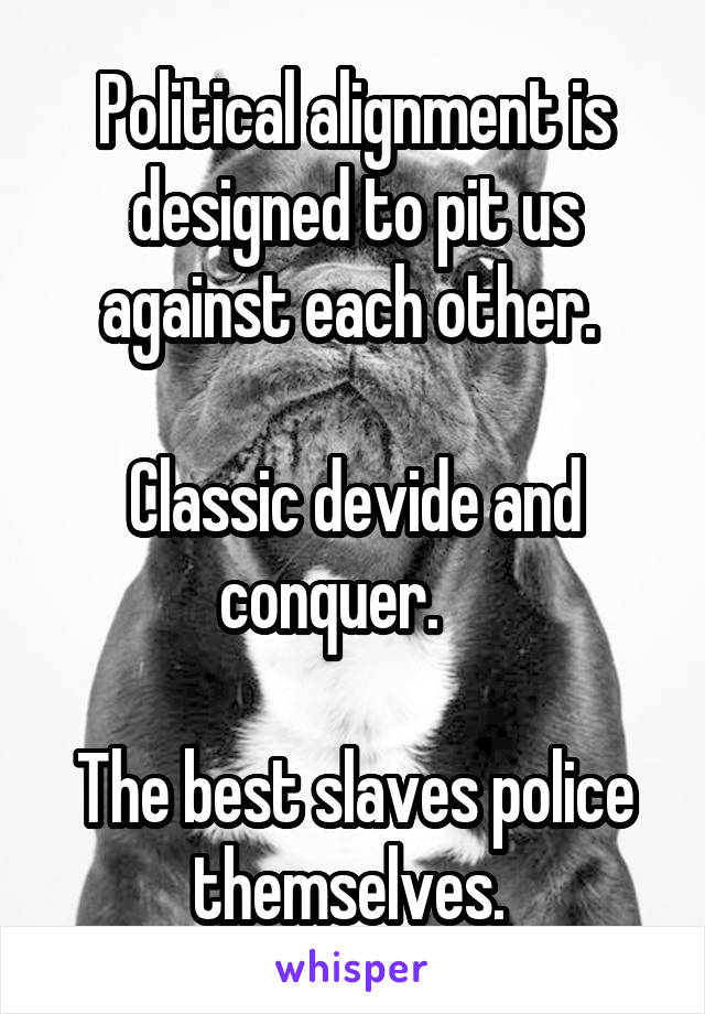 Political alignment is designed to pit us against each other. 

Classic devide and conquer.    

The best slaves police themselves. 