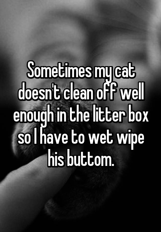 sometimes-my-cat-doesn-t-clean-off-well-enough-in-the-litter-box-so-i