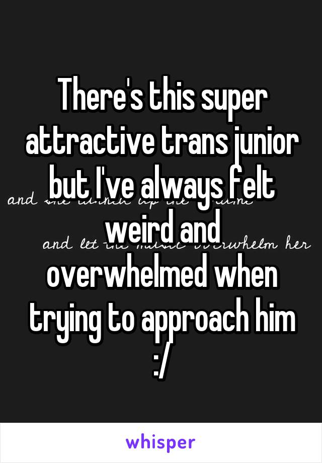 There's this super attractive trans junior but I've always felt weird and overwhelmed when trying to approach him
:/