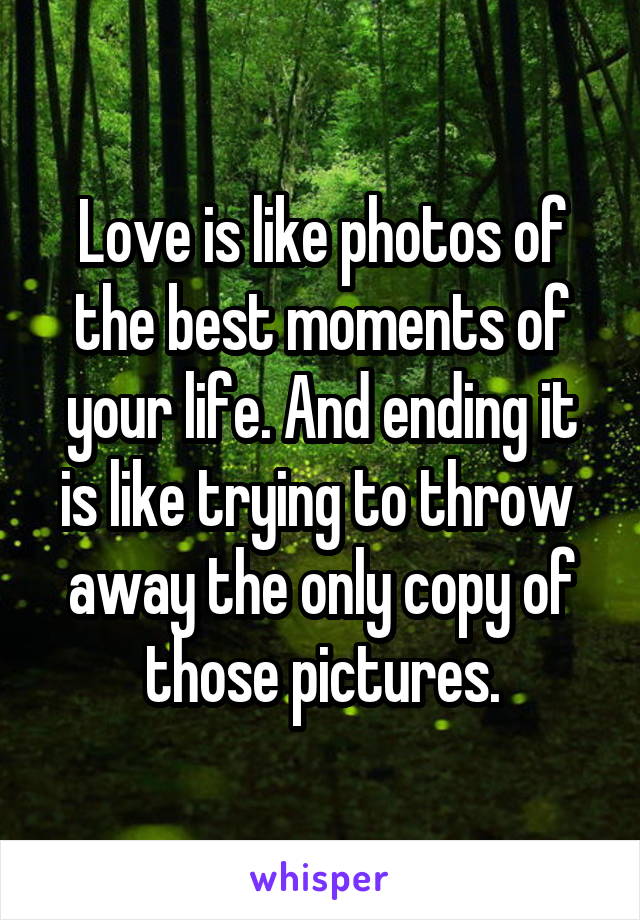 Love is like photos of the best moments of your life. And ending it is like trying to throw  away the only copy of those pictures.