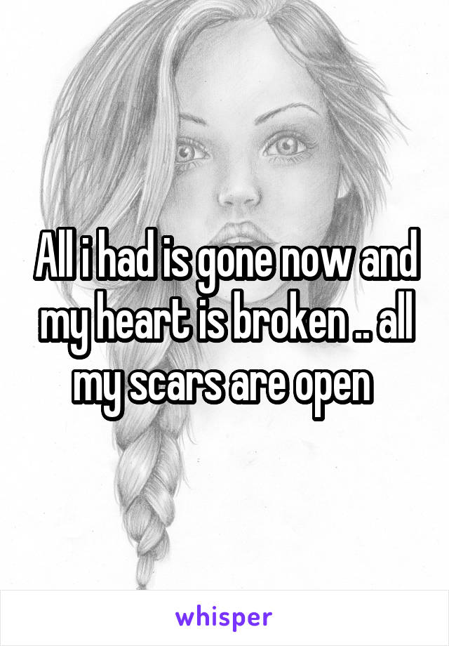 All i had is gone now and my heart is broken .. all my scars are open 