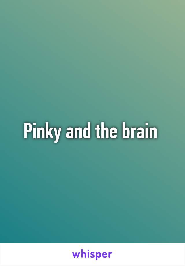 Pinky and the brain 
