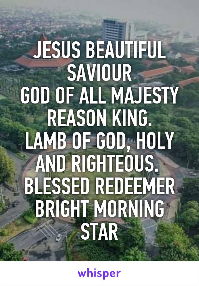 JESUS BEAUTIFUL SAVIOUR
GOD OF ALL MAJESTY
REASON KING.
LAMB OF GOD, HOLY AND RIGHTEOUS. 
BLESSED REDEEMER
BRIGHT MORNING STAR