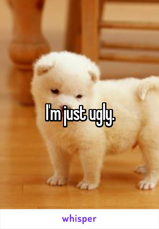 I'm just ugly.