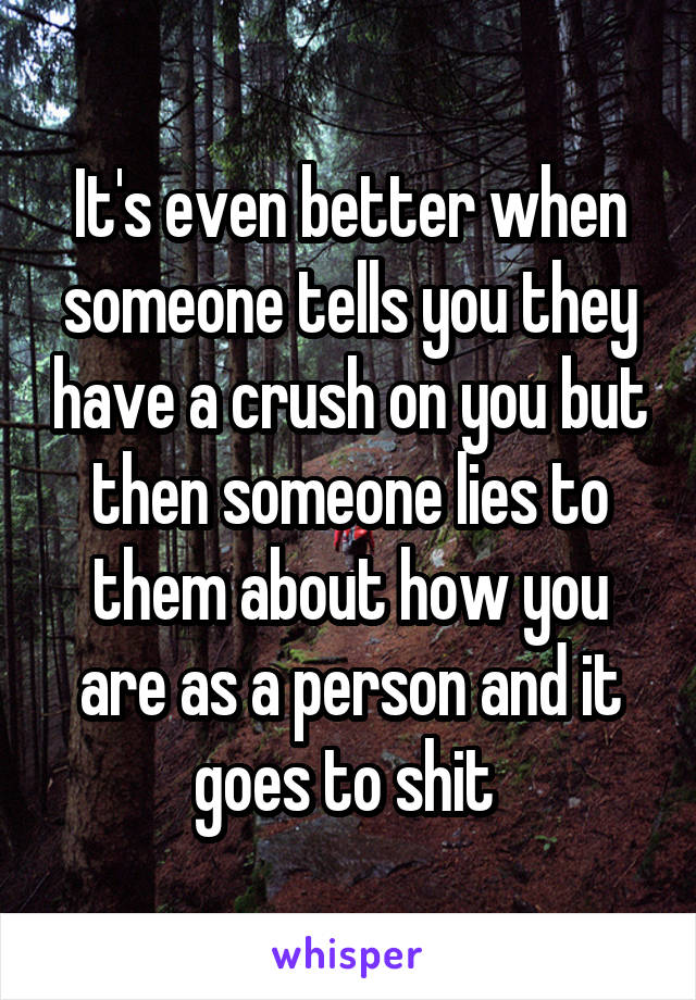 It's even better when someone tells you they have a crush on you but then someone lies to them about how you are as a person and it goes to shit 