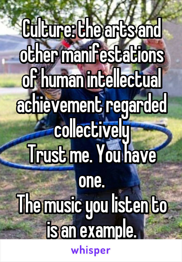 Culture: the arts and other manifestations of human intellectual achievement regarded collectively
Trust me. You have one.
The music you listen to is an example.