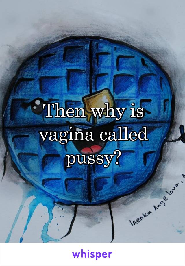 Why Is A Vagina Called A Pussy 13