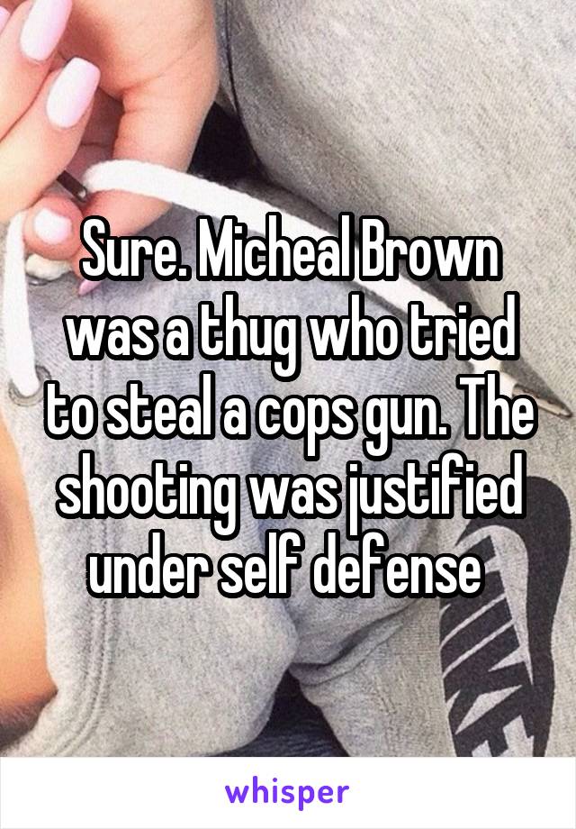 Sure. Micheal Brown was a thug who tried to steal a cops gun. The shooting was justified under self defense 