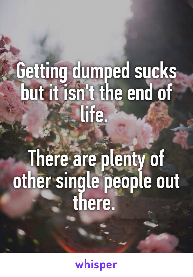 Getting dumped sucks but it isn't the end of life. 

There are plenty of other single people out there. 