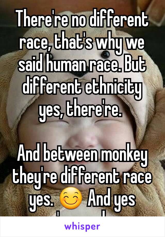 There're no different race, that's why we said human race. But different ethnicity yes, there're. 

And between monkey they're different race yes. 😊 And yes we're monkey.