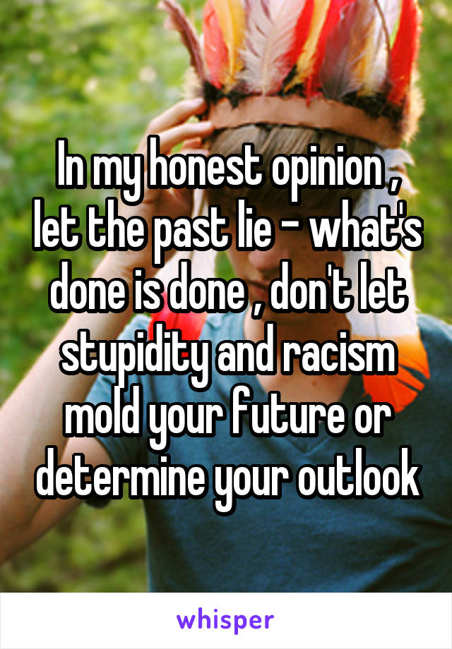 In my honest opinion , let the past lie - what's done is done , don't let stupidity and racism mold your future or determine your outlook