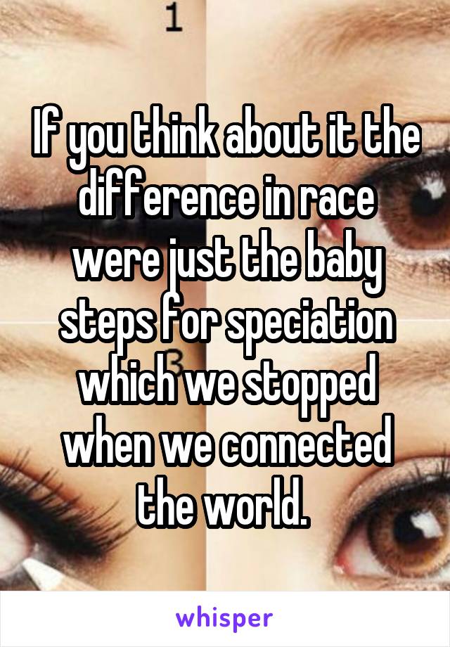 If you think about it the difference in race were just the baby steps for speciation which we stopped when we connected the world. 