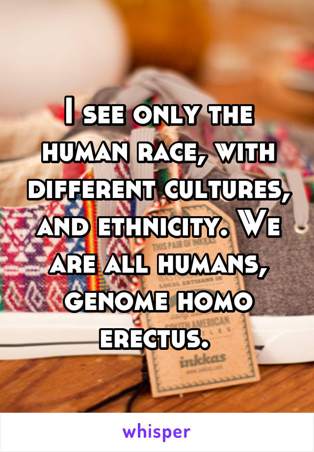 I see only the human race, with different cultures, and ethnicity. We are all humans, genome homo erectus. 