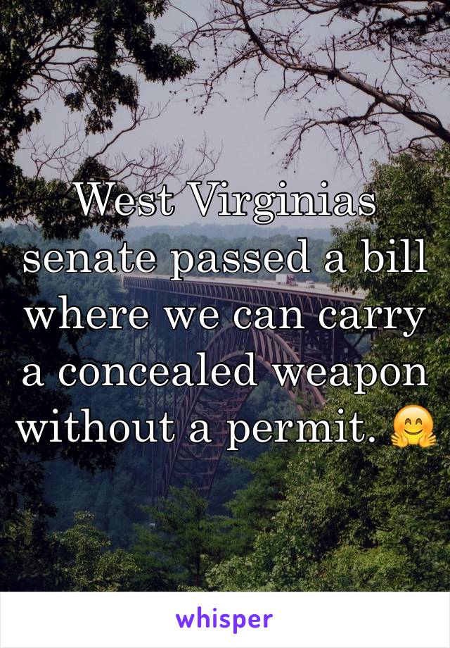 West Virginias senate passed a bill where we can carry a concealed weapon without a permit. 🤗