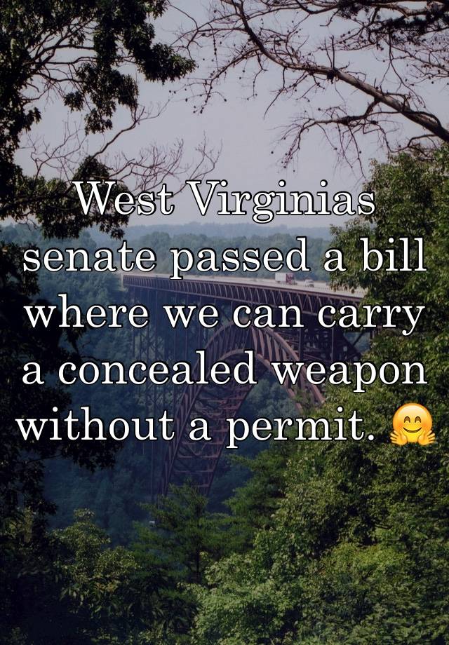 West Virginias senate passed a bill where we can carry a concealed weapon without a permit. 🤗