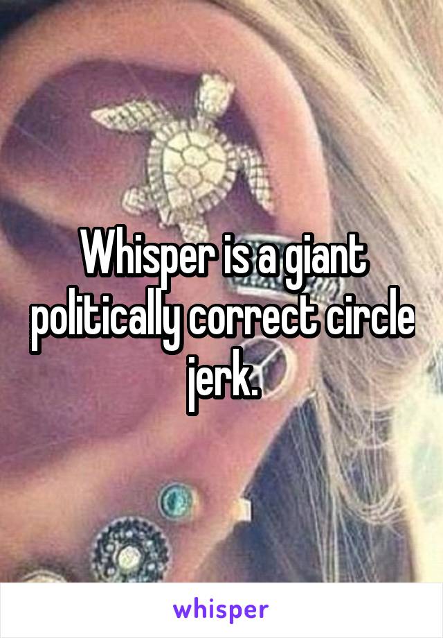 Whisper is a giant politically correct circle jerk.