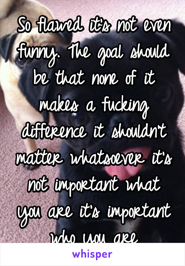 So flawed it's not even funny. The goal should be that none of it makes a fucking difference it shouldn't matter whatsoever it's not important what you are it's important who you are