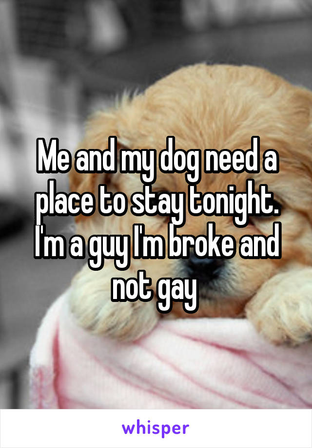 Me and my dog need a place to stay tonight. I'm a guy I'm broke and not gay 