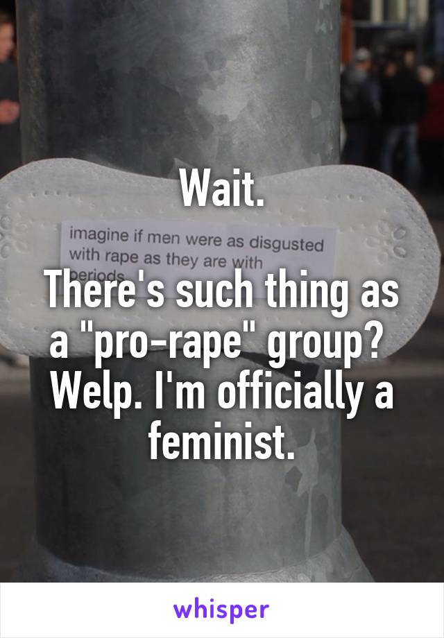 Wait.

There's such thing as a "pro-rape" group? 
Welp. I'm officially a feminist.