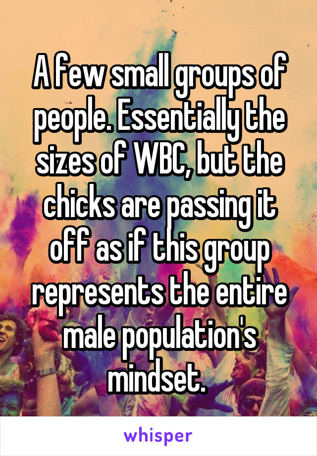 A few small groups of people. Essentially the sizes of WBC, but the chicks are passing it off as if this group represents the entire male population's mindset. 