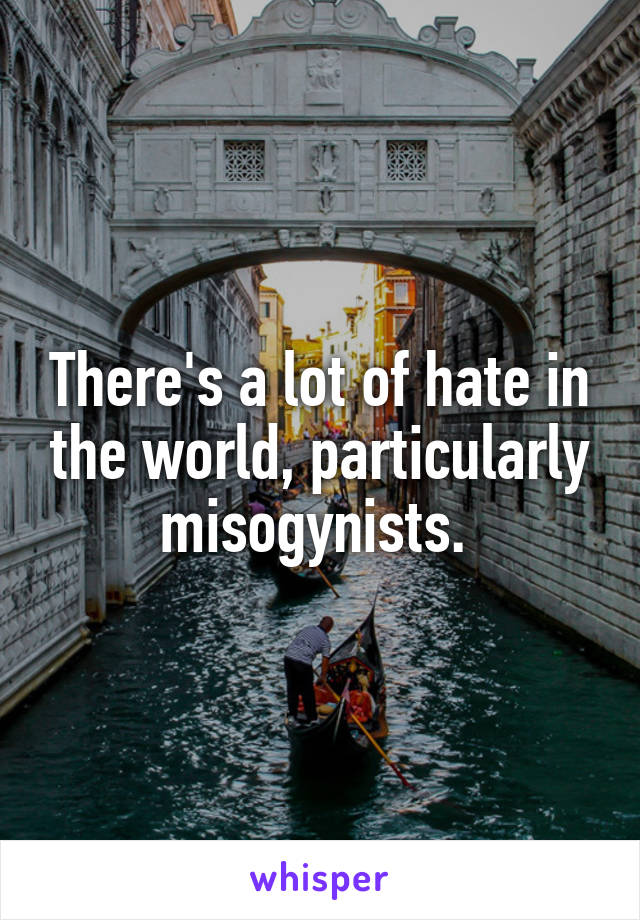 There's a lot of hate in the world, particularly misogynists. 