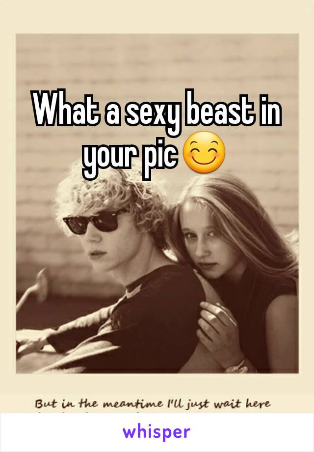 What a sexy beast in your pic😊