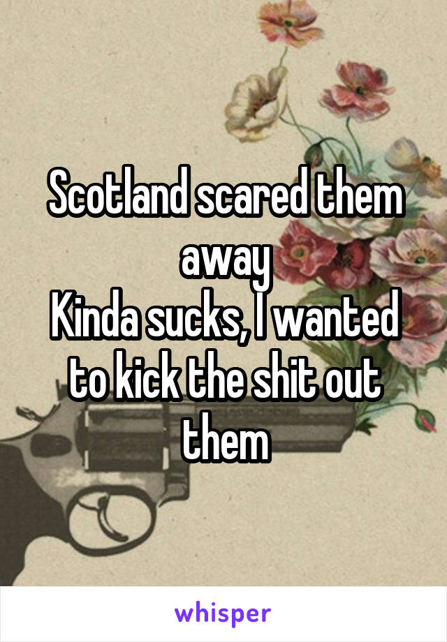 Scotland scared them away
Kinda sucks, I wanted to kick the shit out them