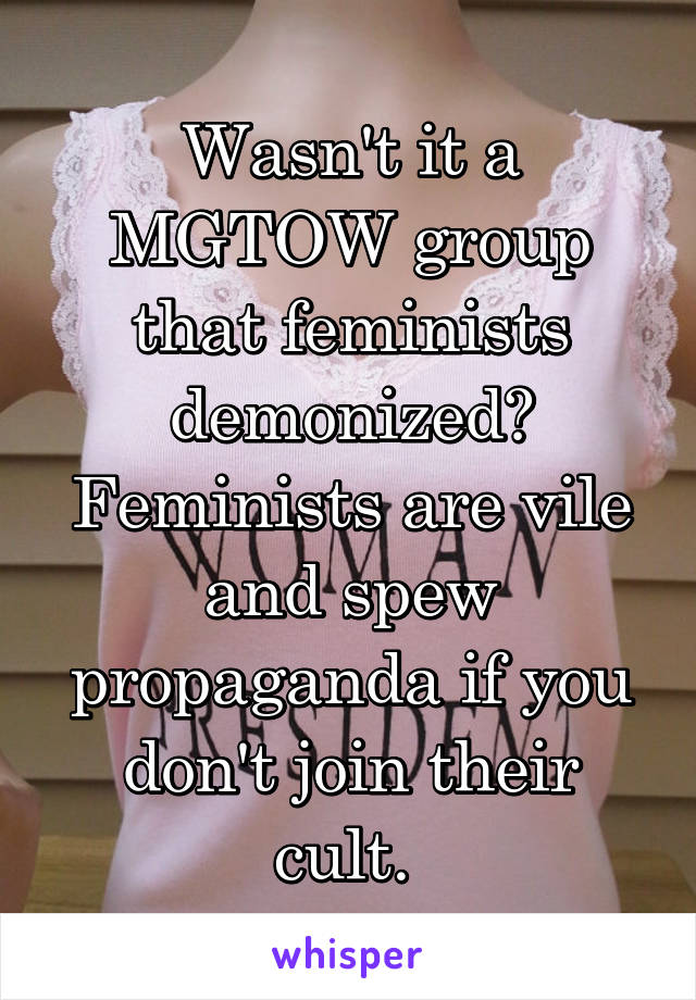 Wasn't it a MGTOW group that feminists demonized? Feminists are vile and spew propaganda if you don't join their cult. 