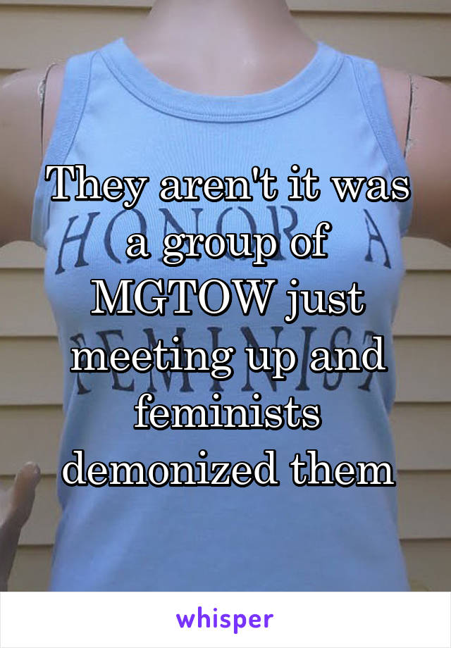 They aren't it was a group of MGTOW just meeting up and feminists demonized them