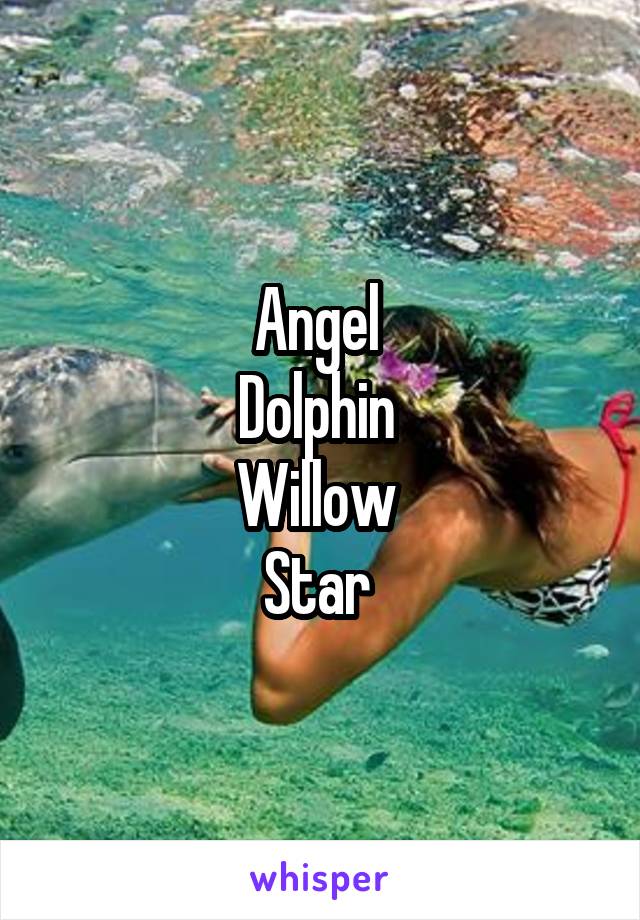 Angel 
Dolphin 
Willow 
Star 