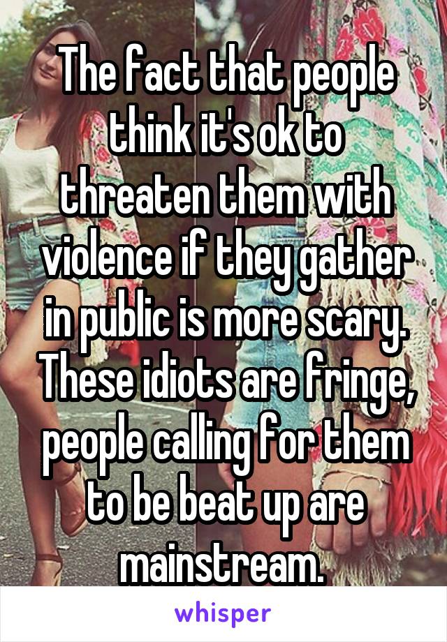 The fact that people think it's ok to threaten them with violence if they gather in public is more scary. These idiots are fringe, people calling for them to be beat up are mainstream. 