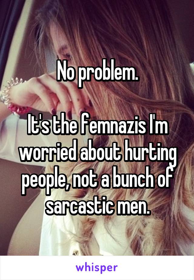 No problem.

It's the femnazis I'm worried about hurting people, not a bunch of sarcastic men.