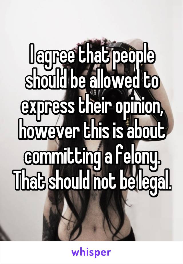 I agree that people should be allowed to express their opinion, however this is about committing a felony. That should not be legal. 