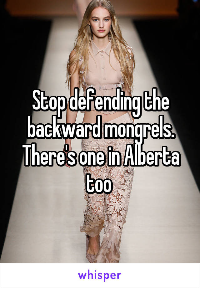 Stop defending the backward mongrels. There's one in Alberta too 