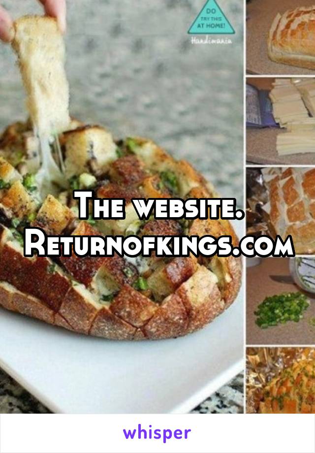 The website. Returnofkings.com