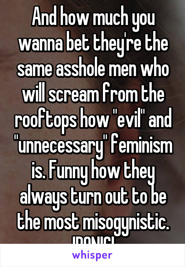 And how much you wanna bet they're the same asshole men who will scream from the rooftops how "evil" and "unnecessary" feminism is. Funny how they always turn out to be the most misogynistic. IRONIC!