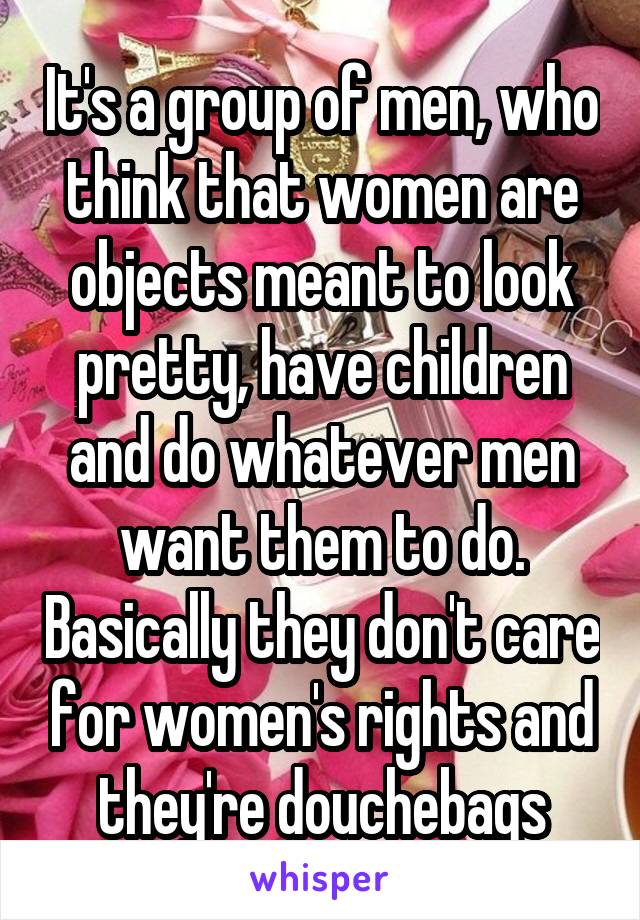 It's a group of men, who think that women are objects meant to look pretty, have children and do whatever men want them to do. Basically they don't care for women's rights and they're douchebags