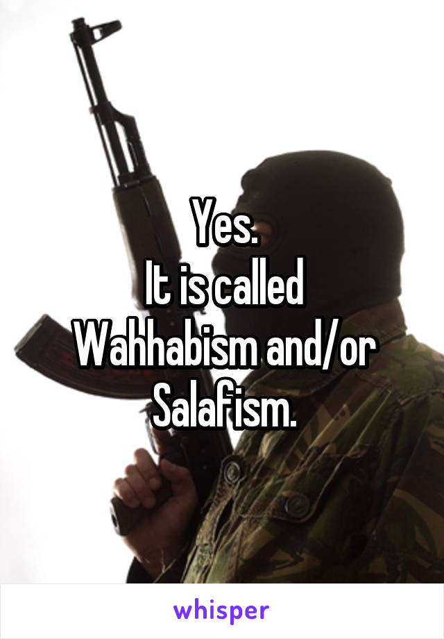 Yes.
It is called
Wahhabism and/or
Salafism.