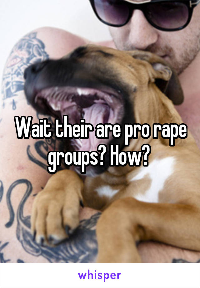 Wait their are pro rape groups? How? 