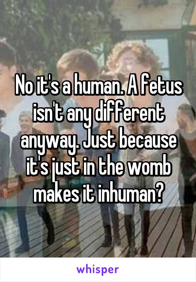 No it's a human. A fetus isn't any different anyway. Just because it's just in the womb makes it inhuman?