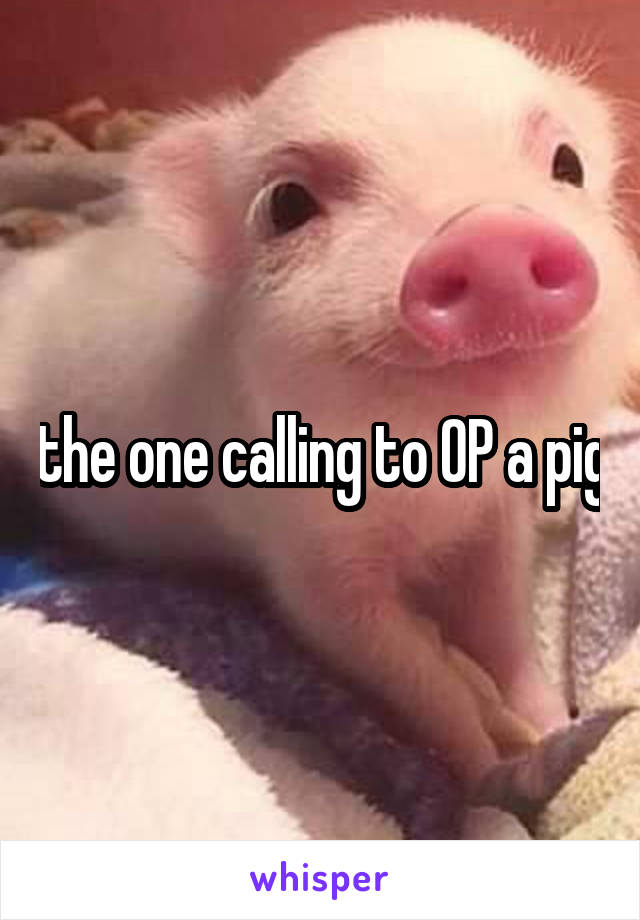 the one calling to OP a pig