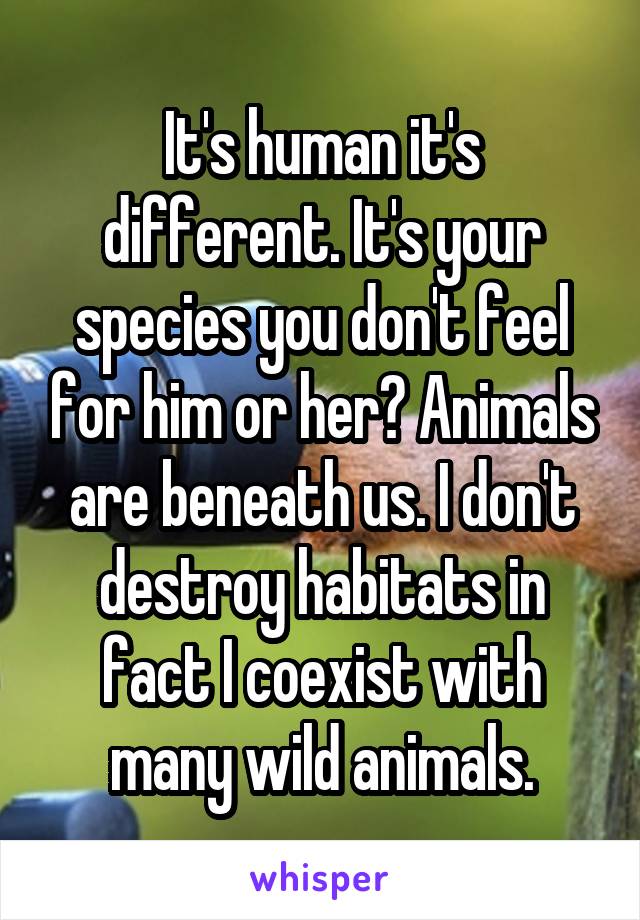 It's human it's different. It's your species you don't feel for him or her? Animals are beneath us. I don't destroy habitats in fact I coexist with many wild animals.