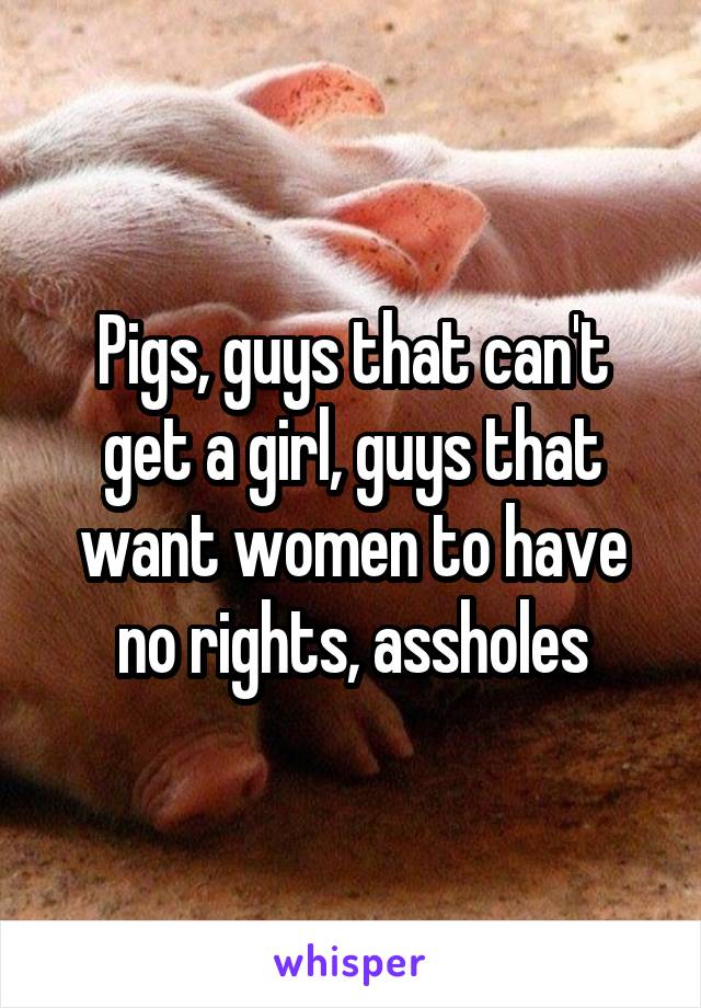 Pigs, guys that can't get a girl, guys that want women to have no rights, assholes