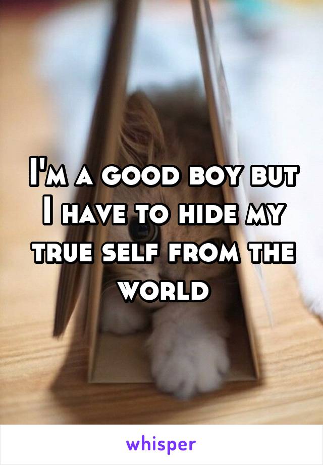 I'm a good boy but I have to hide my true self from the world