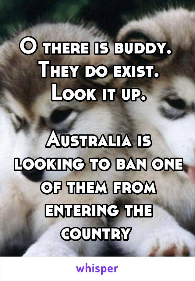 O there is buddy. 
They do exist. Look it up.

Australia is looking to ban one of them from entering the country 